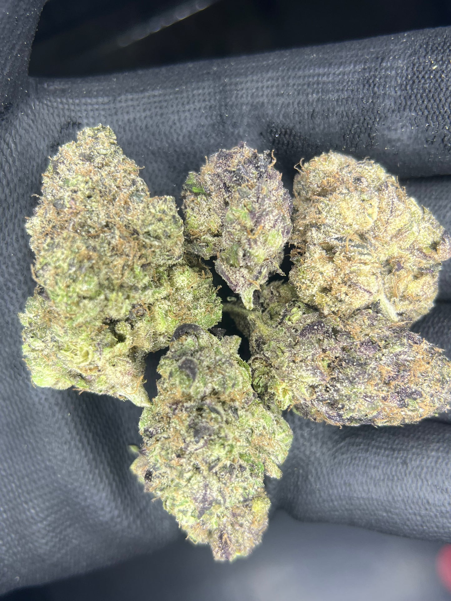 Black Truffle