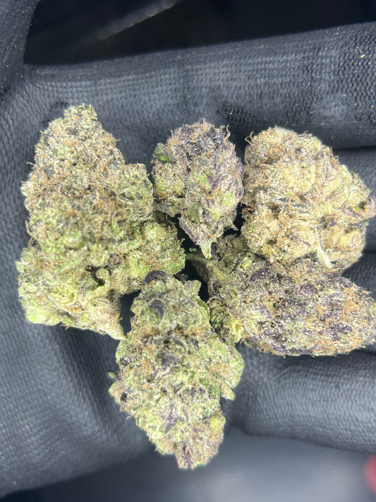 Black Truffle